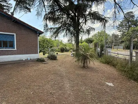 Luzuriaga 2698