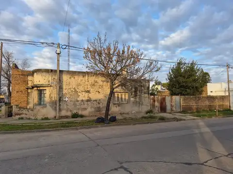 Alvear 1000