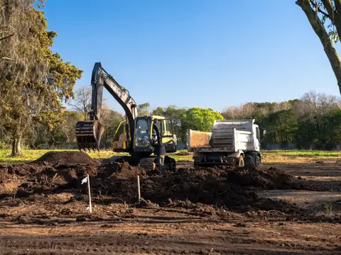 Bartolome ,gallo 100