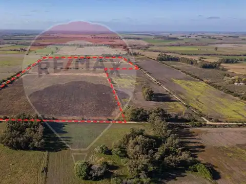 CAMPO EN VENTA 24 HECTÁREAS A 10 KM DE LIBERTAD