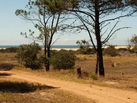 Terreno en Venta en Punta del Este, USD 260.000