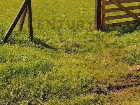 Leopoldo Marechal y Jose Ingenieros , Piso 0