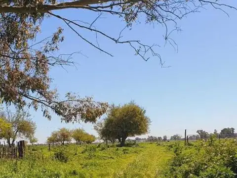 LOTE EN VENTA Barrio El Hornero con escritura CORREDOR CANNING SAN VICENTE