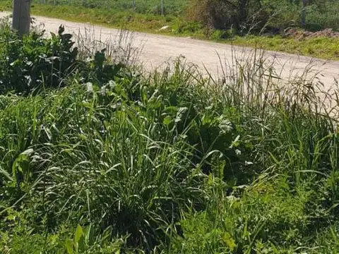 Terreno en Venta en Guernica, USD 11.500