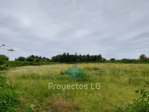 VENTA- 2 LOTES DE 2.500 M2 - SINSACATE