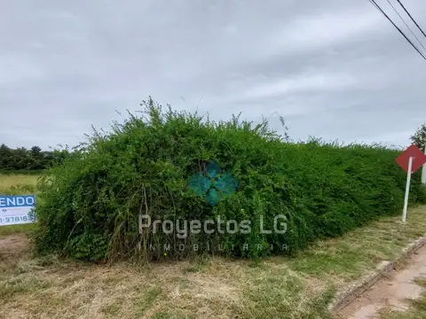 VENTA- 2 LOTES DE 2.500 M2 - SINSACATE