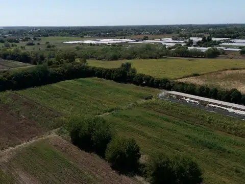 VENTA CAMPO 7,8 HAS AV. ALLAN Y 639. F. VARELA
