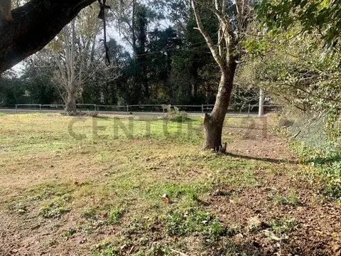 Campo en Venta en Villa Elisa, Partido de La Plata