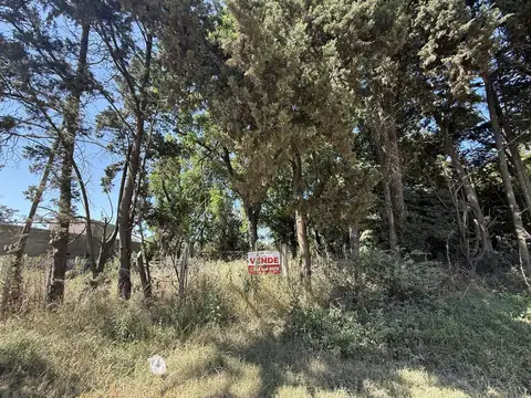 Terreno en Venta 24  mts Frente