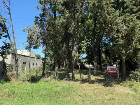 José Ingenieros 5600