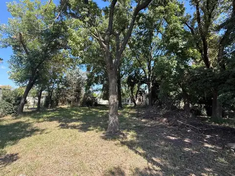 José Ingenieros 5600