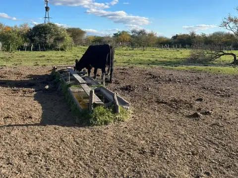 Campo en Venta de 900  ha