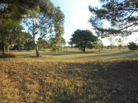 Terreno - Venta - Argentina, San Bernardo