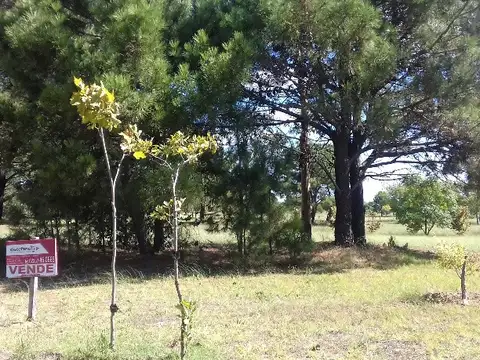 Terreno en Venta de 870,0 m2