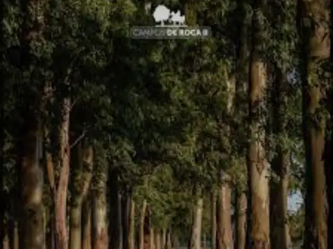 Autovía 2
