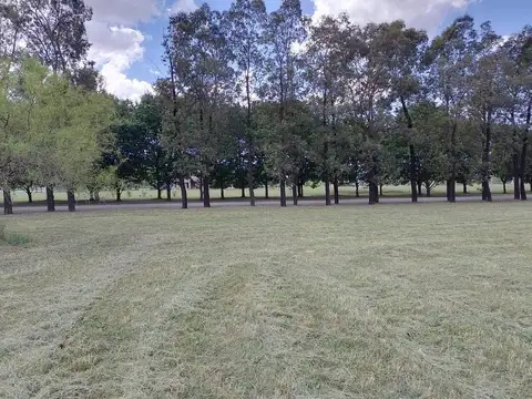 Terreno en Venta 69  mts Frente
