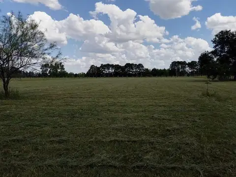 Terreno en Venta 69  mts Fondo