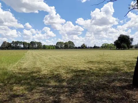 La Macarena