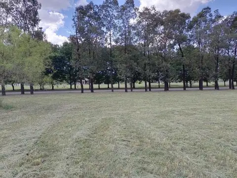 Terreno en Venta 69  mts Frente