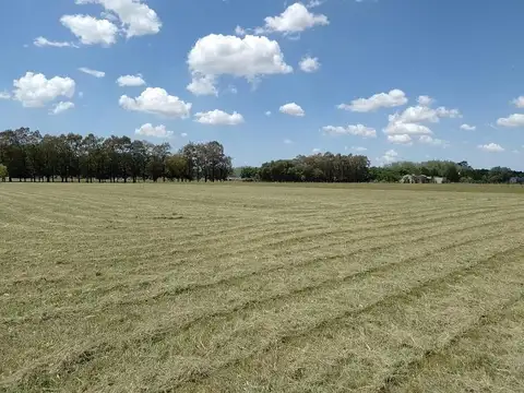 Terreno en Venta en La Macarena, USD 128.000