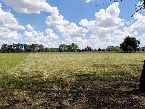 La Macarena