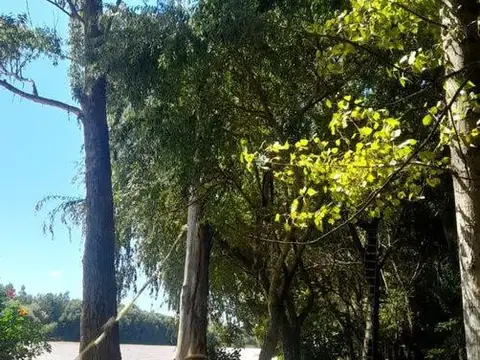 Venta Terreno 200.000 m2 en tercera sección Delta,  San Fernando.