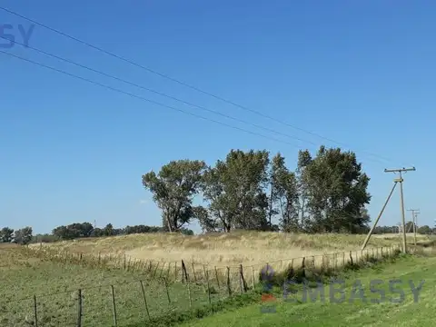 Terreno en Venta de 25000,0 m2