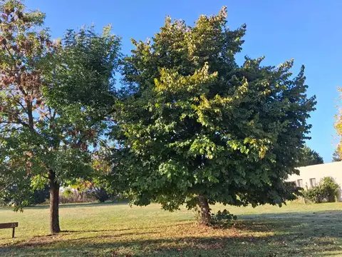 Terreno en Venta de 1015,0 m2