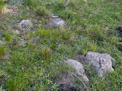 Terreno en Venta de 22433,0 m2