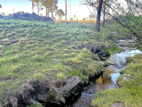 Terreno en Venta de 22433,0 m2