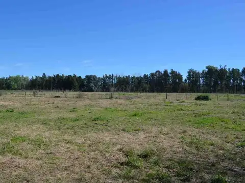 Venta lote 2,5 ha Haras Argentino Farm Club, Lujan