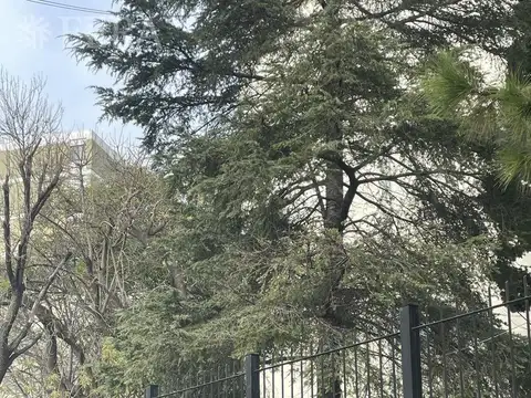 DIAZ VELEZ al 400