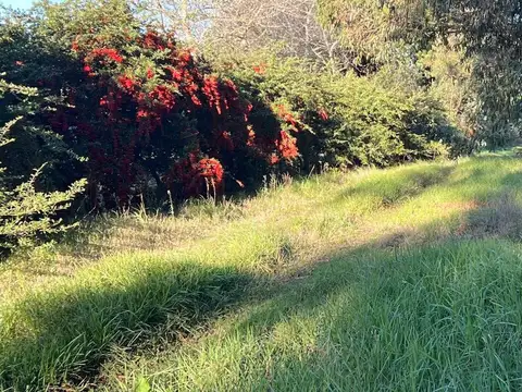 Calle 483 entre calle 40 y 42