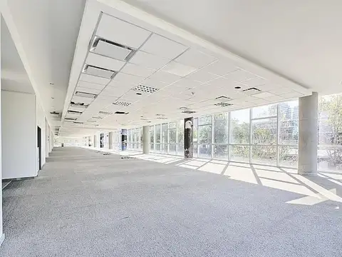 Oficina en Alquiler 20 años