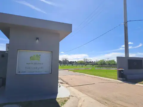 Nueva zelaya 2