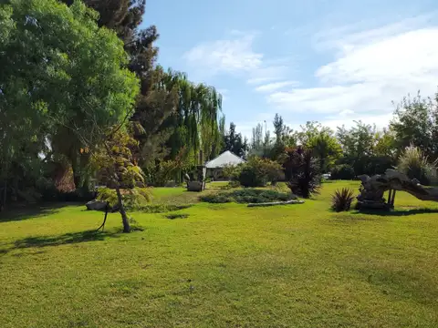 Ruta 20 8700