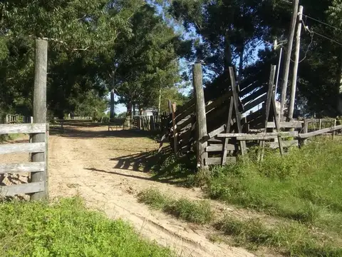 VENDO MAGNIFICO CAMPO DE 241 HECTÁREAS MUY CERCA DEL CENTRO 