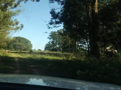 VENDO MAGNIFICO CAMPO DE 267 HECTÁREAS MUY CERCA DEL CENTRO