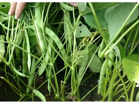 Embarcación. Paraje Padre Lozano. RP Nº 53. Km 100