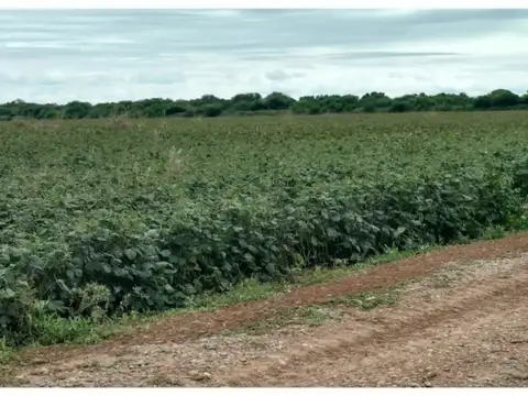 FINCA VENTA EMBARCACION SUSTENTABLE 2634 HA