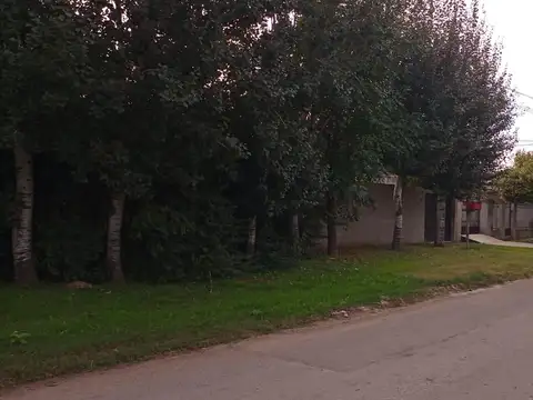 232 e/ Avenida 44 y 45