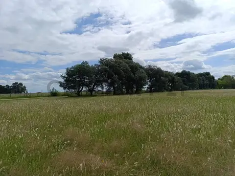 RP 192 KM 100, Piso 0