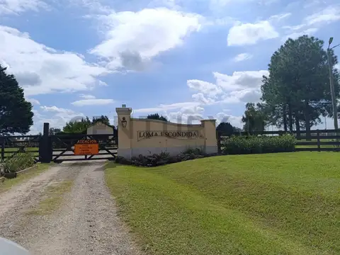 Terreno en Venta de 10000,0 m2