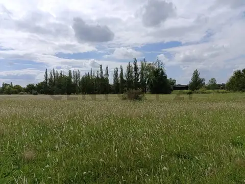 Terreno en Venta de 10000,0 m2