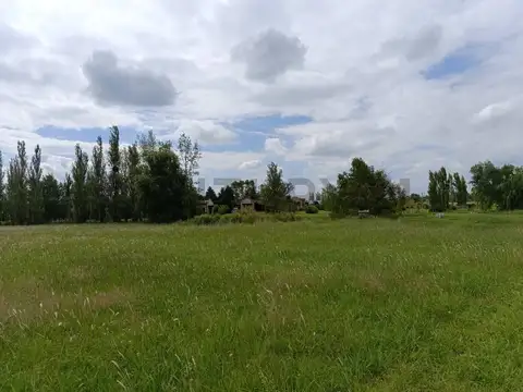 Terreno en Venta de 10000,0 m2