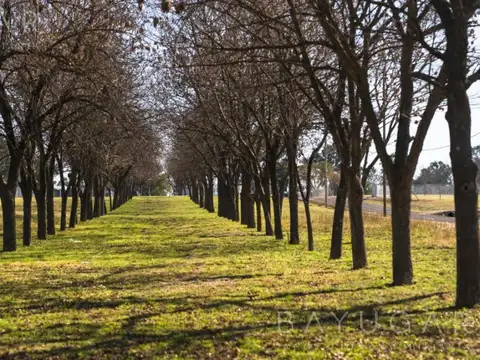 Terreno en Venta en Zelaya, USD 48.000