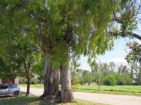 Terreno en Venta en Soldini, USD 26.000