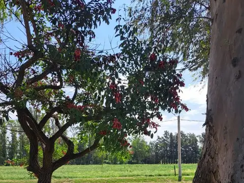 Terreno en Venta en Soldini, USD 26.000