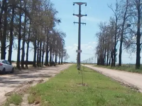 Terreno en Venta de 903,0 m2