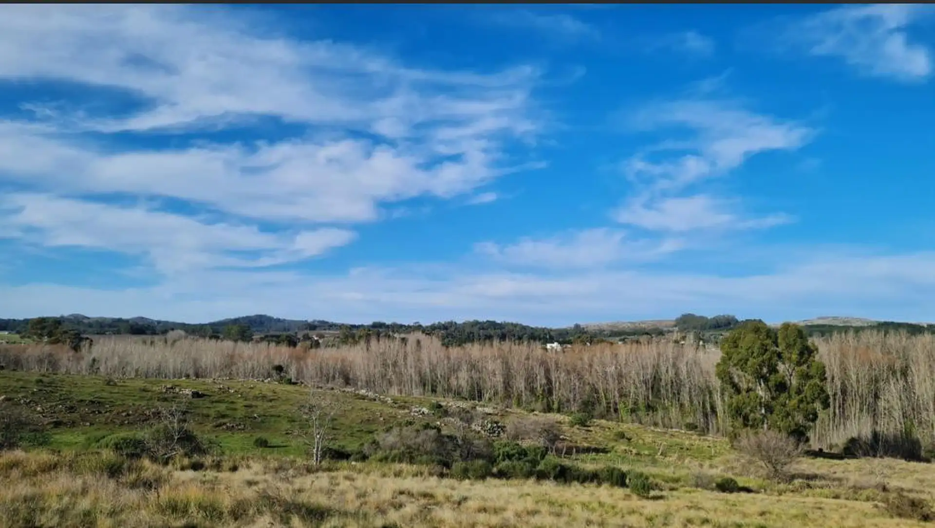 Terreno en venta 600m² sobre O'Higgins entre Calihue y Miguel Abuelo